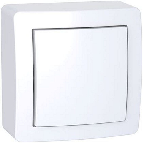 Alréa, Interrupteur simple allumage avec cadre saillie blanc polaire-ALB62050P-3606480705908-SCHNEIDER ELECTRIC FRANCE