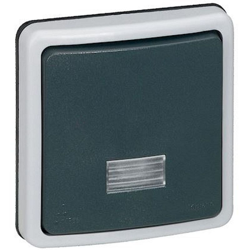 Interrupteur ou va-et-vient étanche à voyant 10A Plexo IP66 composable - gris-090480-3245060904807-LEGRAND