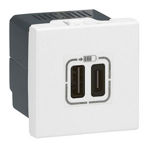 Chargeur 2 USB Type-C 3A 5V= 15W Mosaic 2 modules 230V - blanc-077590-3414971003323-LEGRAND