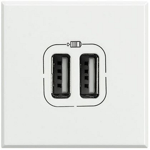 Chargeur USB double Axolute 5V 230V 2,4A - finition White - 2 modules-HD4285C2-8005543488584-BTICINO