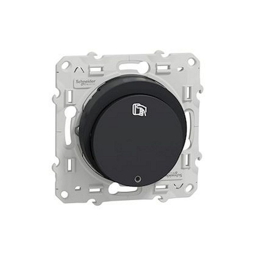 Odace, interrupteur à carte 10 A Anthracite-S540283-3606480706967-SCHNEIDER ELECTRIC FRANCE