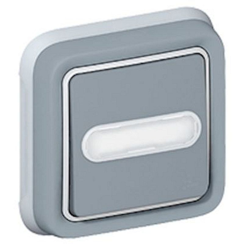 Poussoir inverseur étanche lumineux porte-étiquette Plexo IP55 encastré - gris-069824-3245060698249-LEGRAND