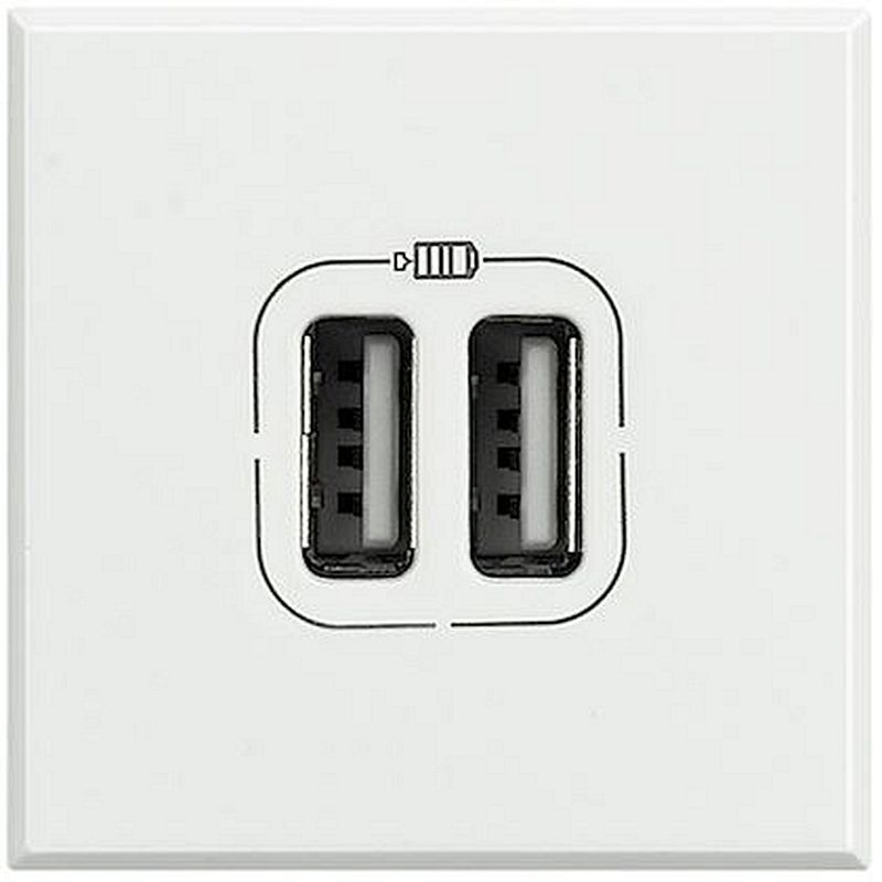 Chargeur USB double Axolute 5V 230V 2,4A - finition White - 2 modules