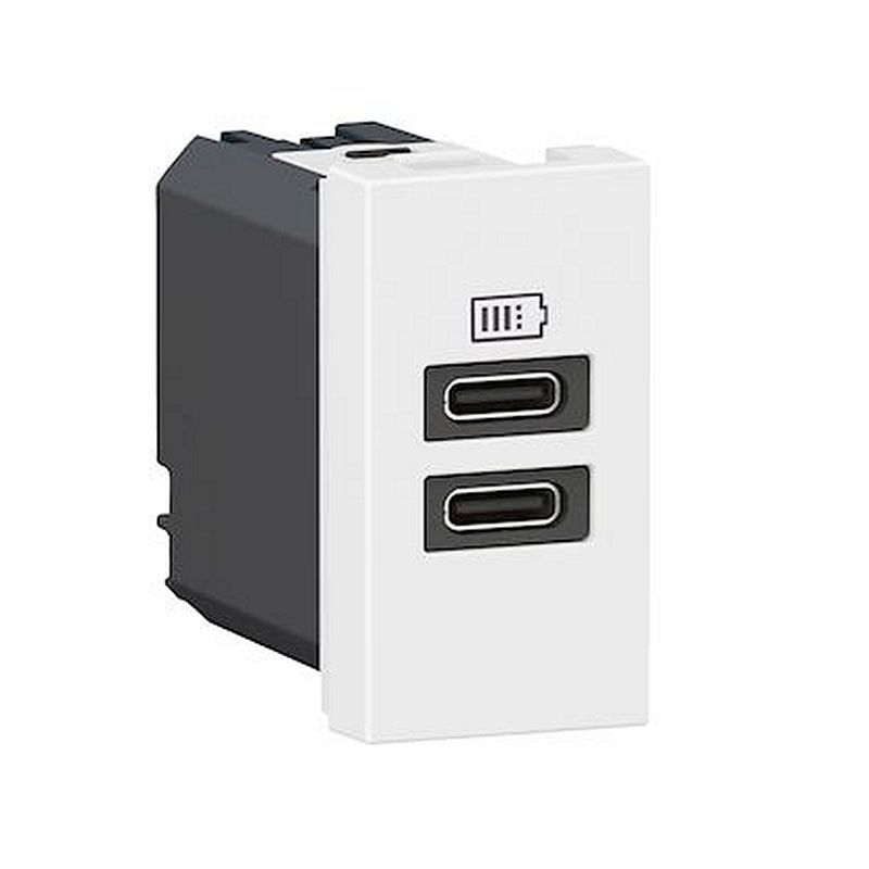 Chargeur 2 USB Type-C Mosaic - 1 module blanc pour poste de travail