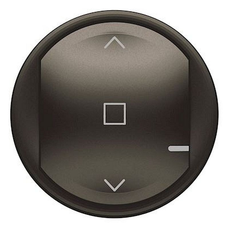 Enjoliveur Céliane with Netatmo interrupteur/commande volet roulant - graphite