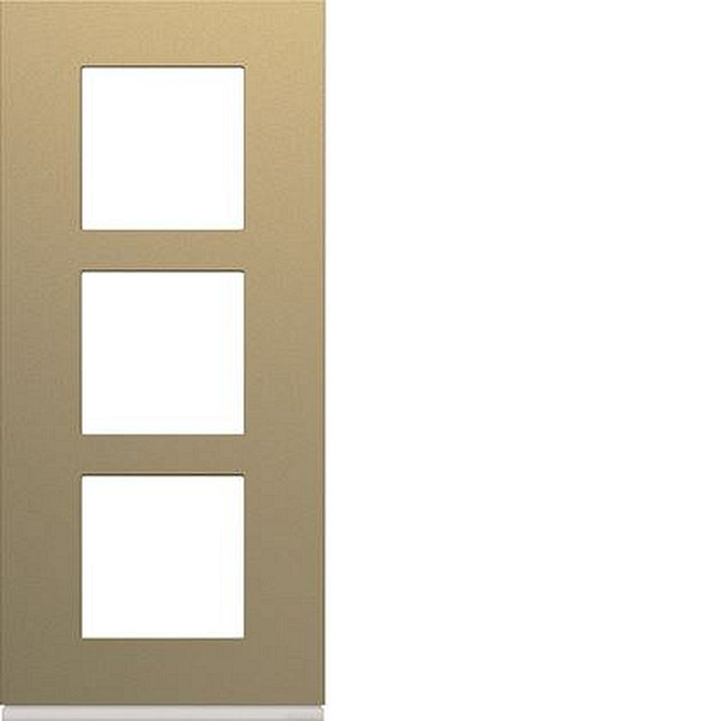 Plaque gallery plastique peint 3 postes verticale 57mm champagne